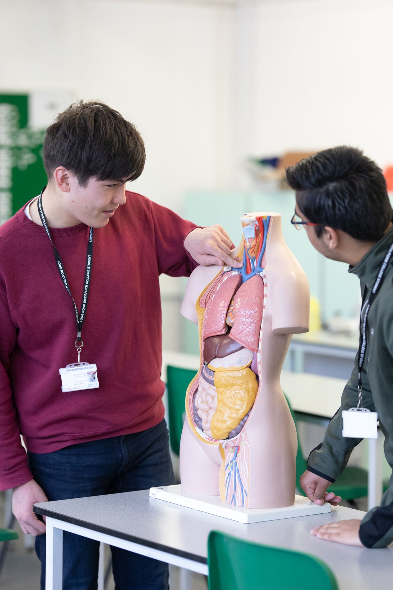 Two male students in a science lab looking at a model of the human body, showing internal organs