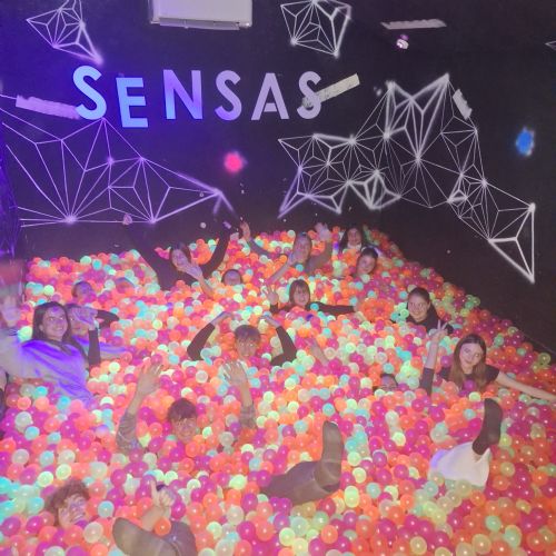 Psychologists visit the Freud Museum